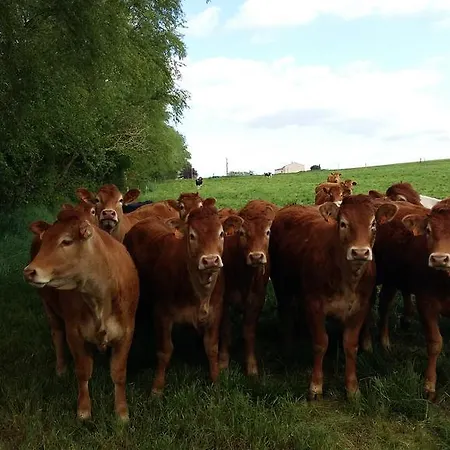 Charmante Maison A La Ferme ファームステイ *