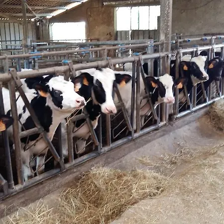 Charmante Maison A La Ferme * Valderiès