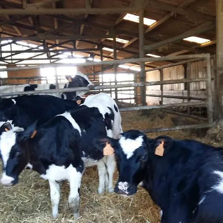 ファームステイ Charmante Maison A La Ferme