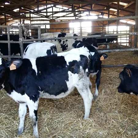 Charmante Maison A La Ferme ファームステイ *