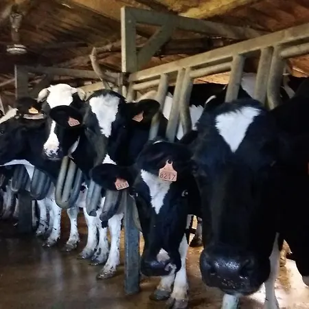 Charmante Maison A La Ferme * Valderies