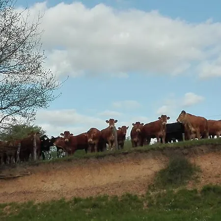 Farmház Charmante Maison A La Ferme *