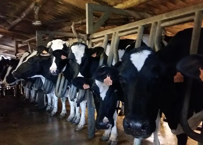 Charmante Maison A La Ferme * Valderies