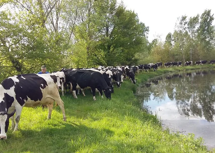 Charmante Maison A La Ferme Valderies