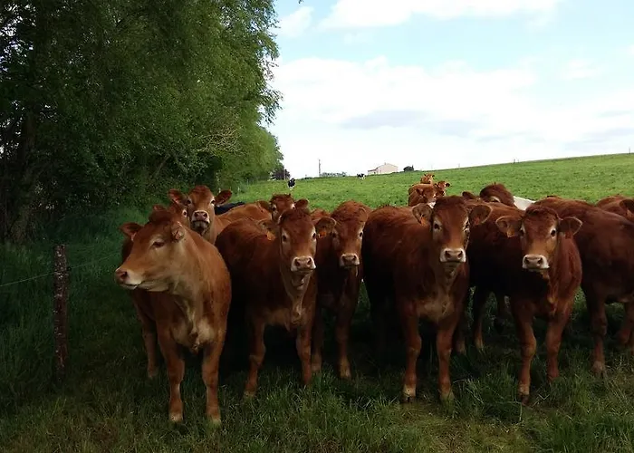 Charmante Maison A La Ferme Feriegård *