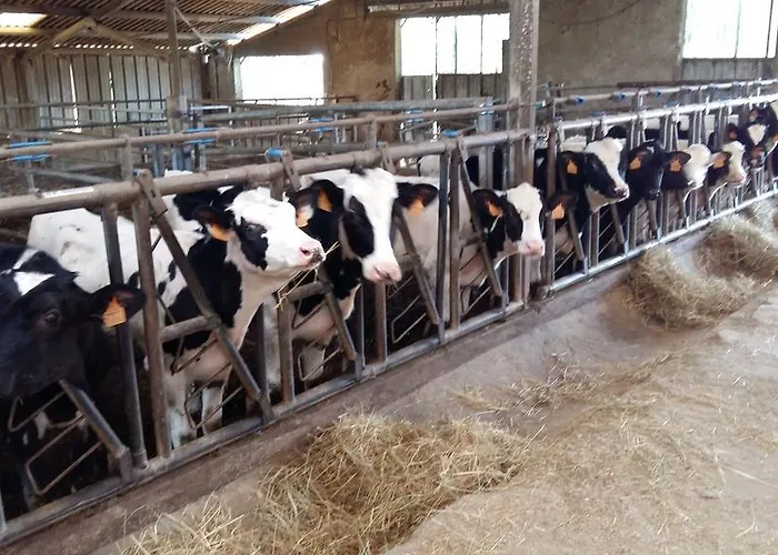 Charmante Maison A La Ferme * Valderies