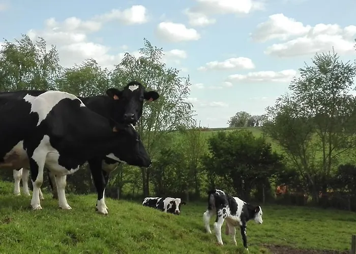 Charmante Maison A La Ferme Valderies