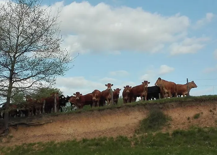 Feriegård Charmante Maison A La Ferme *