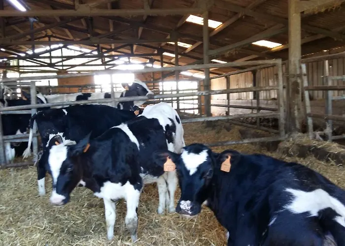 Feriegård Charmante Maison A La Ferme