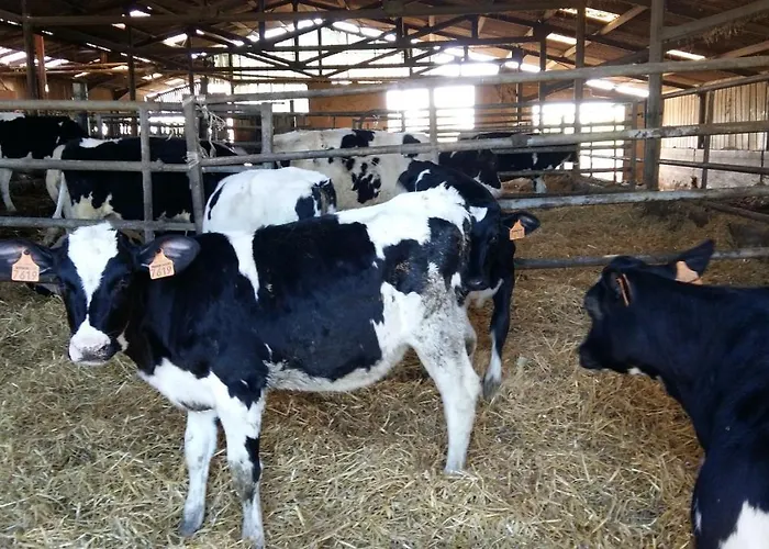 Charmante Maison A La Ferme Feriegård *